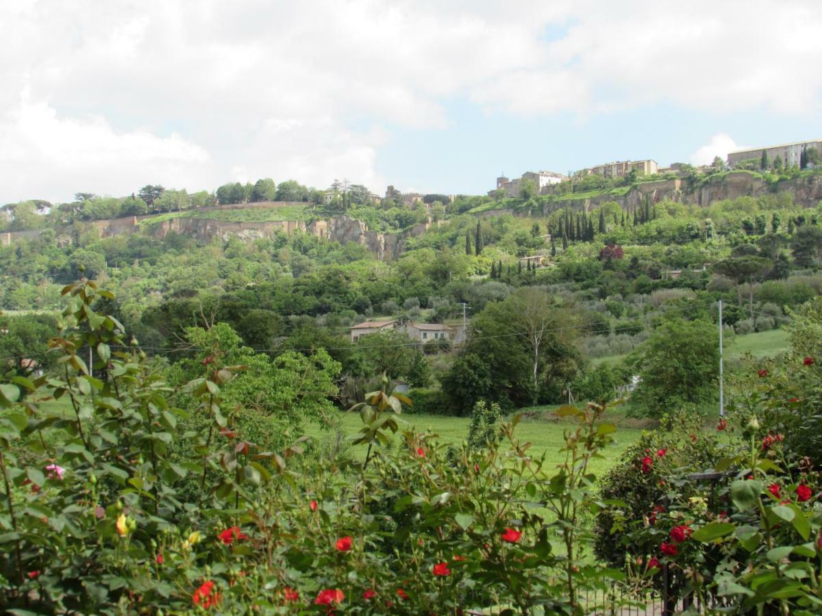 Casa Angolo Delle Rose Orvieto Ngoại thất bức ảnh